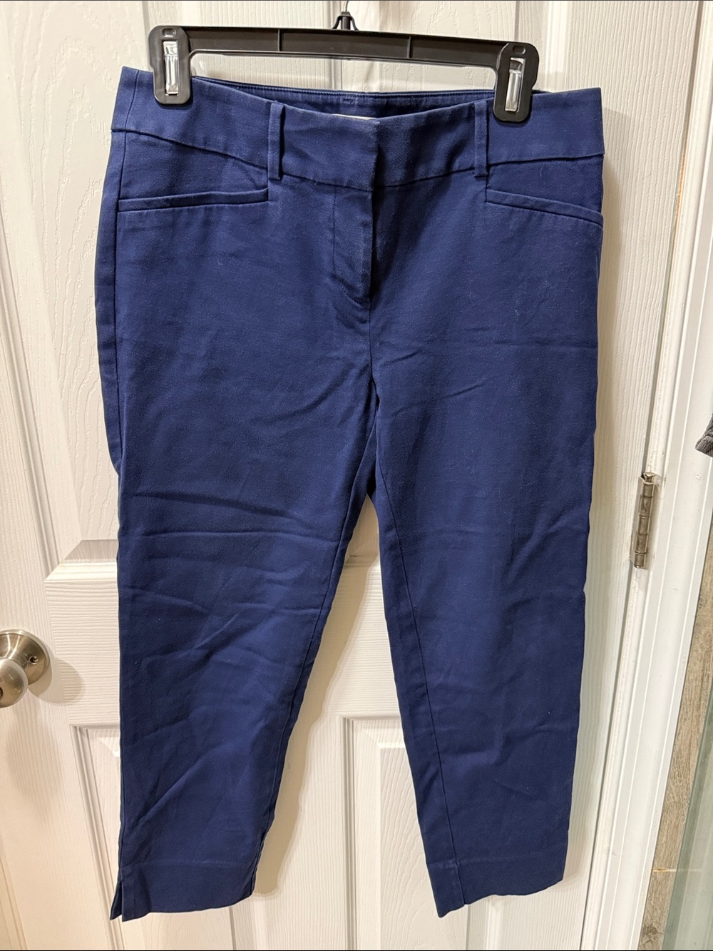 LOFT Navy Cropped Ankle Pants